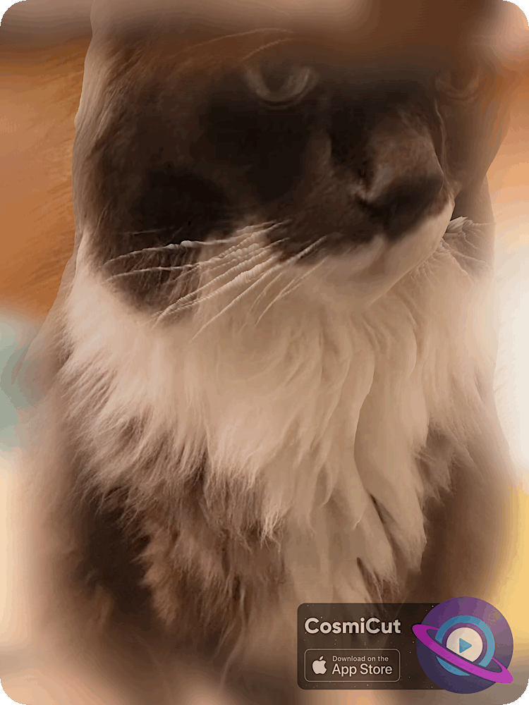 Spatial preview animation 2